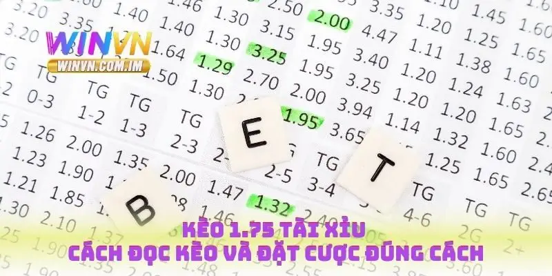 Kèo 1.75 Tài Xỉu - Cách Đọc Kèo và Đặt Cược Đúng Cách 7 Kèo 1.75 tài xỉu